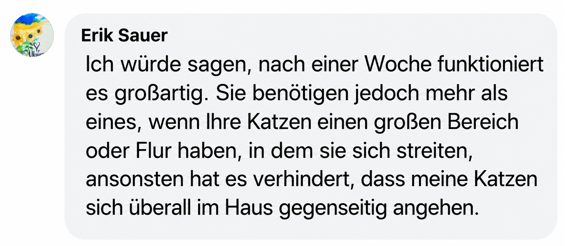 A screenshot of a customer review in German from Erik Sauer, with a sunflower profile picture.
