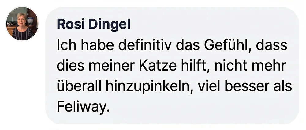 A testimonial in German from Rosi Dingel, with her profile picture next to the text.