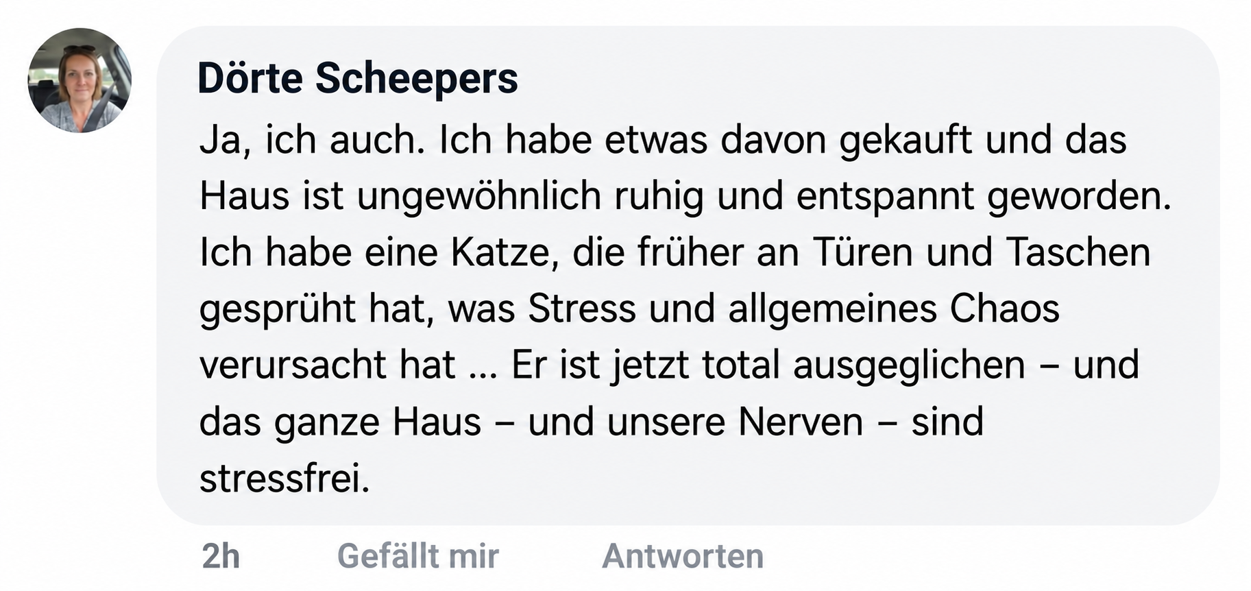 A screenshot of a testimonial in German from a user named Dörte Scheepers.