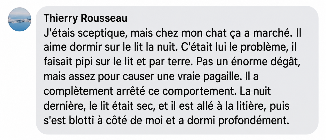 A screenshot of a customer review in French from Thierry Rousseau about their cat.