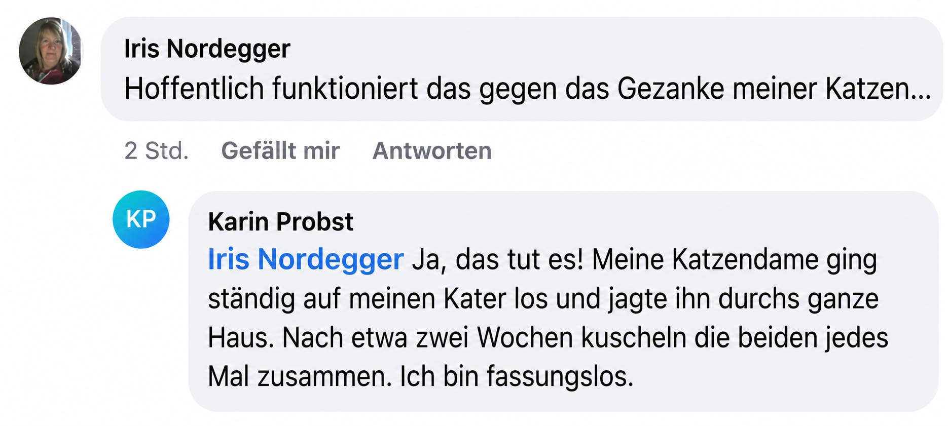 A screenshot of a social media conversation in German where users discuss a product for their cats.