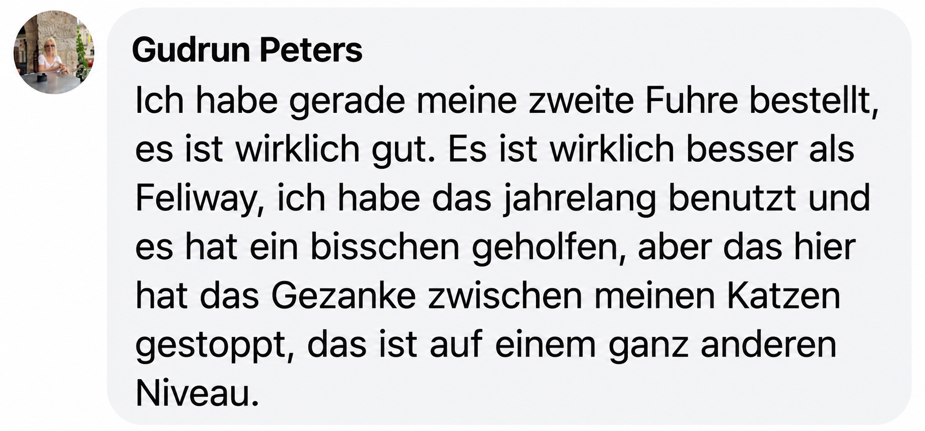 A screenshot of a testimonial from Gudrun Peters, with her profile picture and a comment in German.