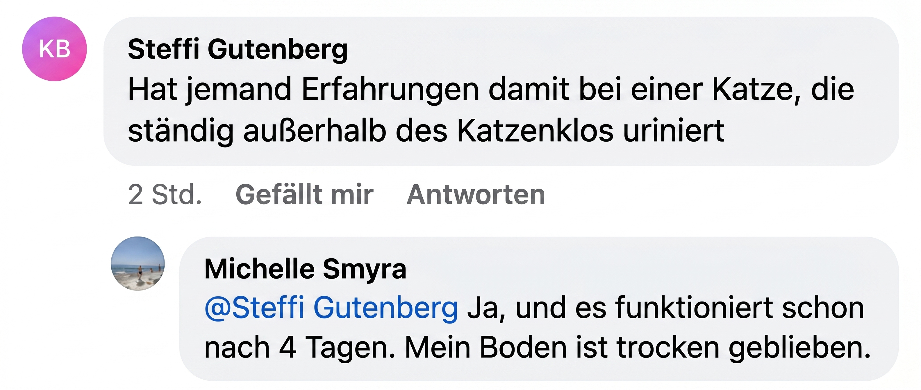 A screenshot of a conversation in German about a cat urinating outside its litter box.