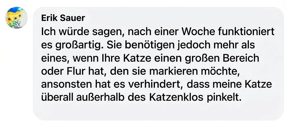 A screenshot of a customer review in German from a user named Erik Sauer.