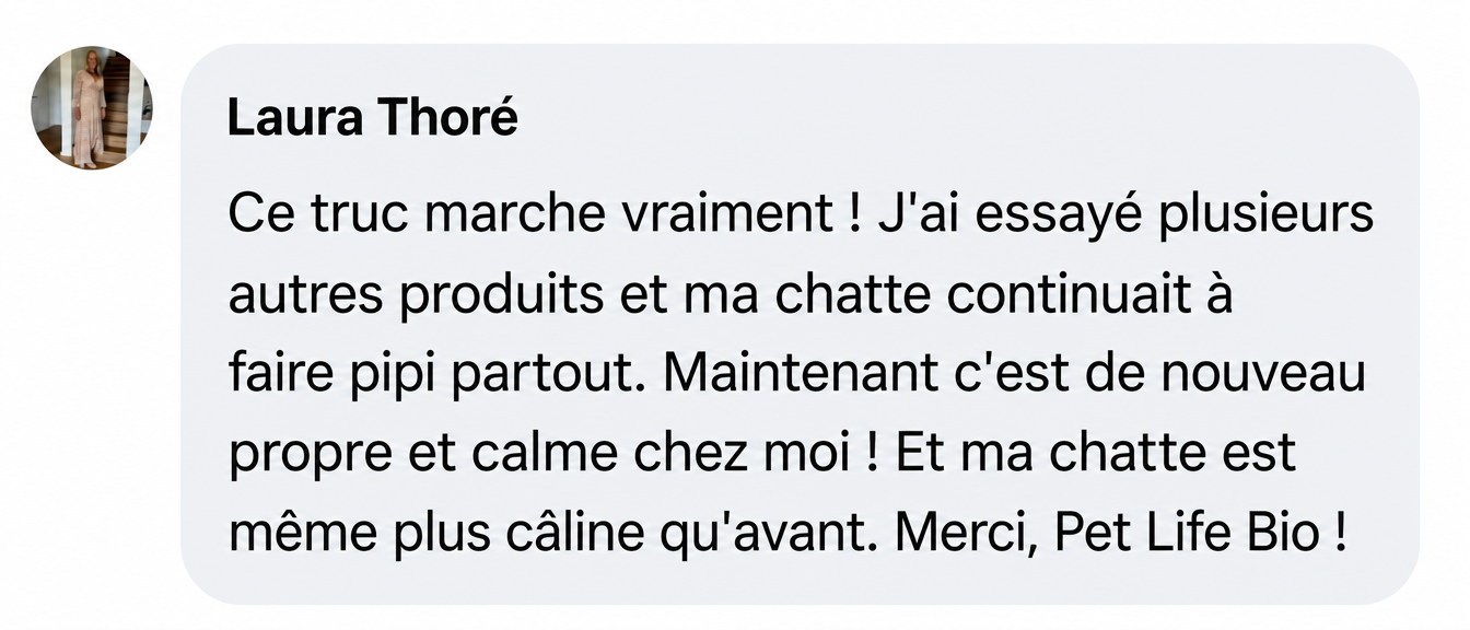 A screenshot of a testimonial from Laura Thoré, including her profile picture and a paragraph of text in French.