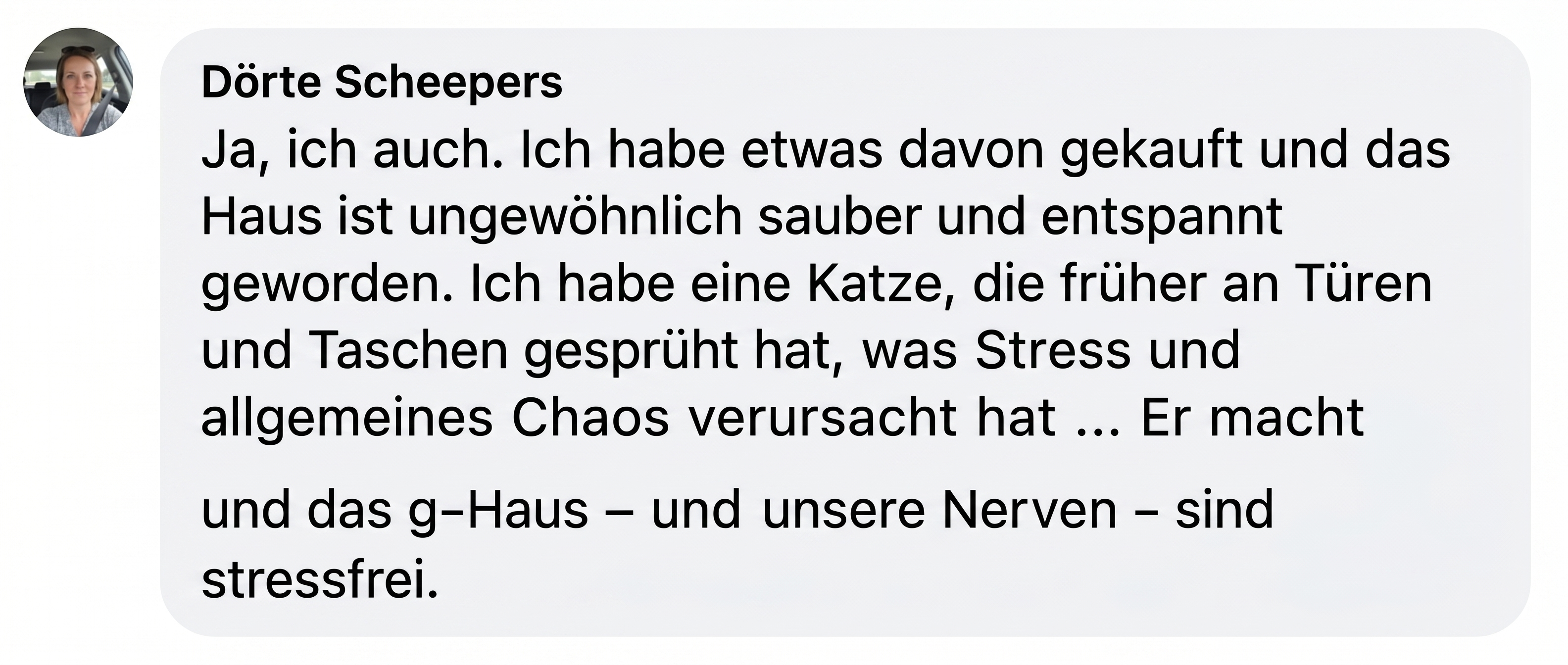 A screenshot of a social media comment in German by Dörte Scheepers, with her profile picture.