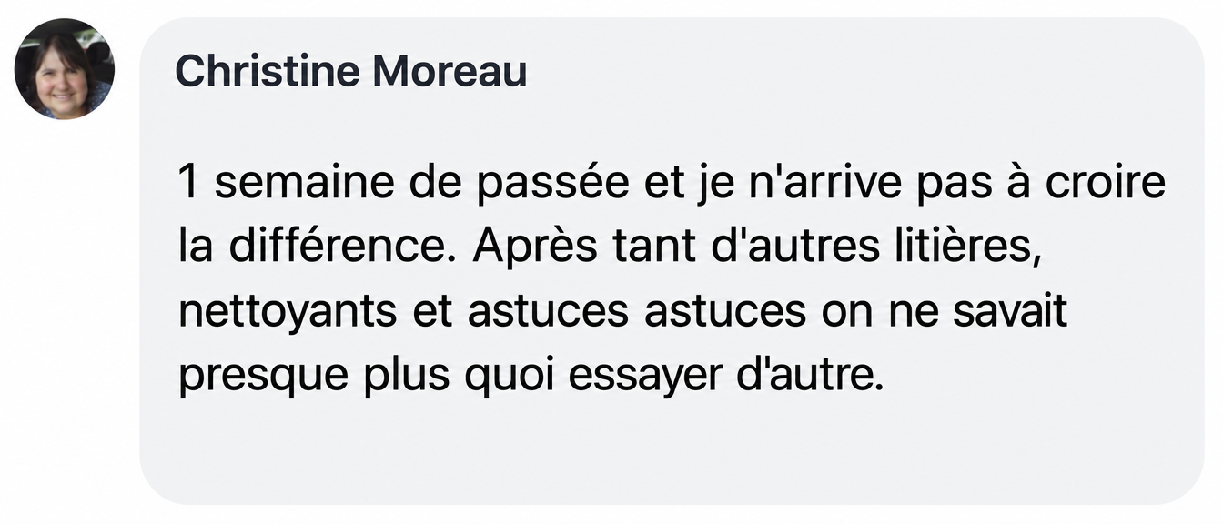 A testimonial from a user named Christine Moreau, with her profile picture and a text review in French.