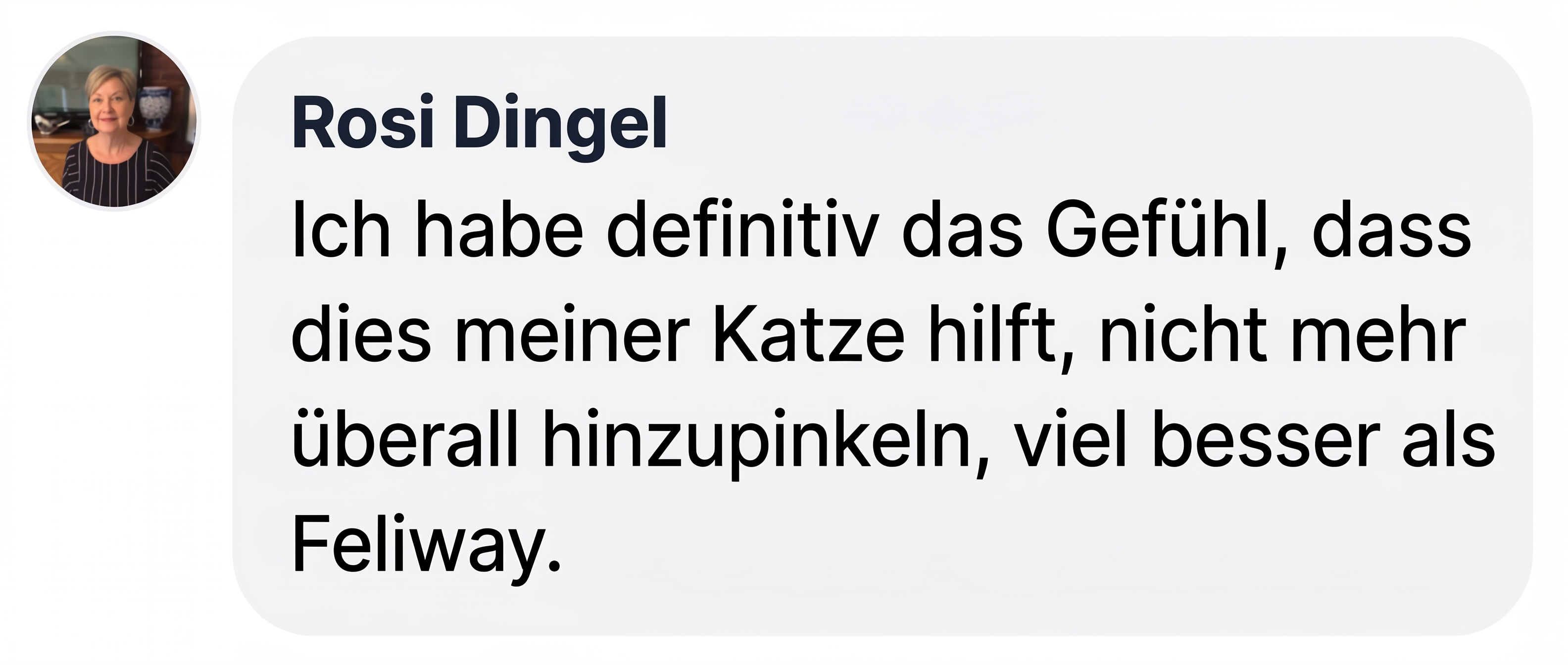 A testimonial from Rosi Dingel, with her profile picture and a review written in German.