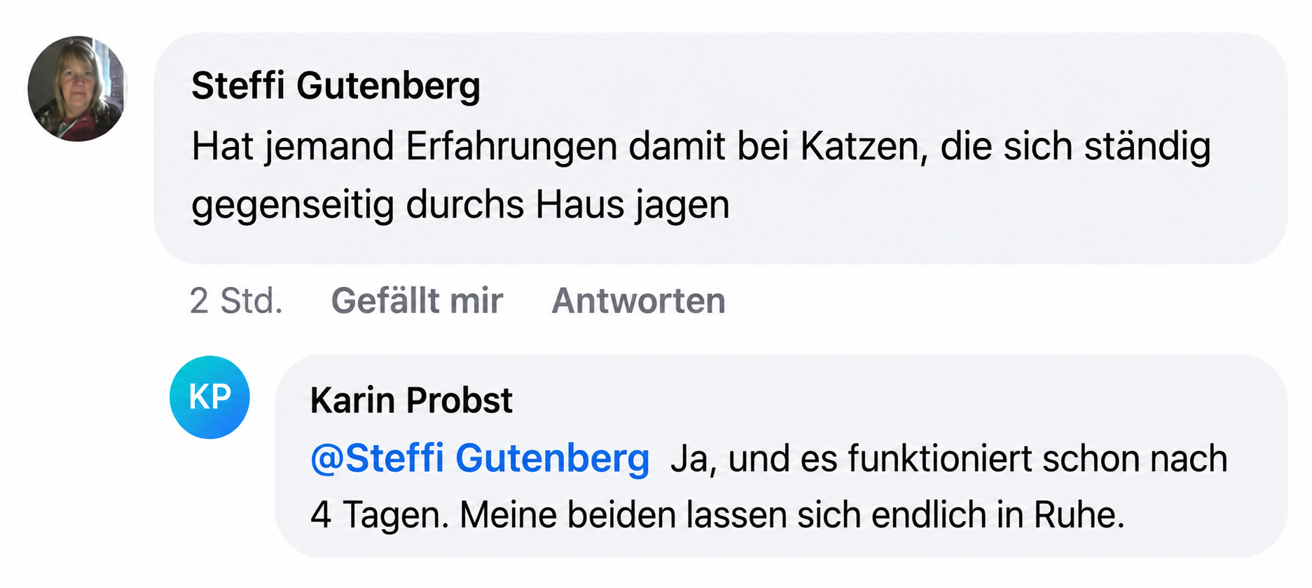 A screenshot of a conversation in German between two people about their cats.