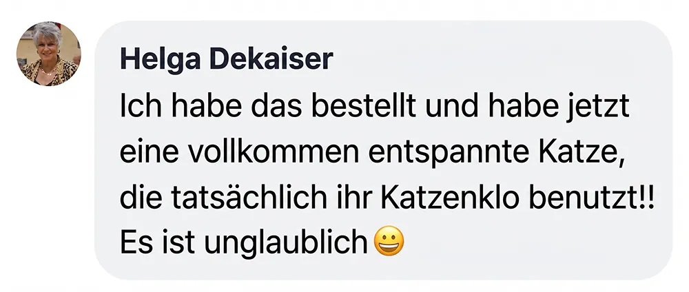 A screenshot of a customer review in German from a user named Helga Dekaiser.
