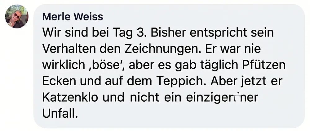 A screenshot of a social media comment in German by a user named Merle Weiss.