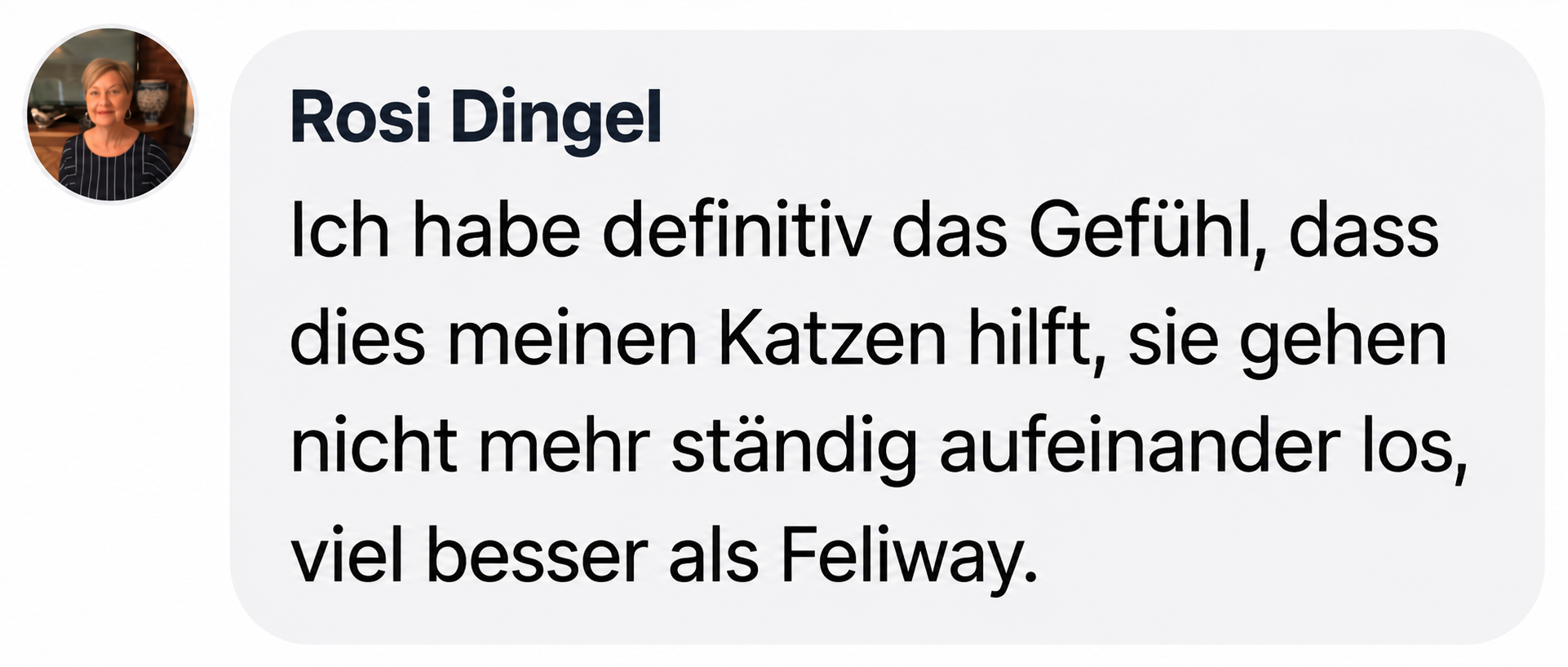 A testimonial from a customer named Rosi Dingel, with her profile picture and a quote in German.