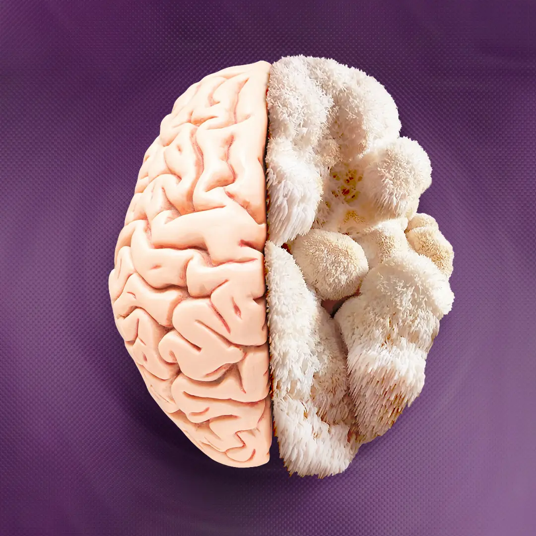 Half brain, half mushroom on a purple background.
