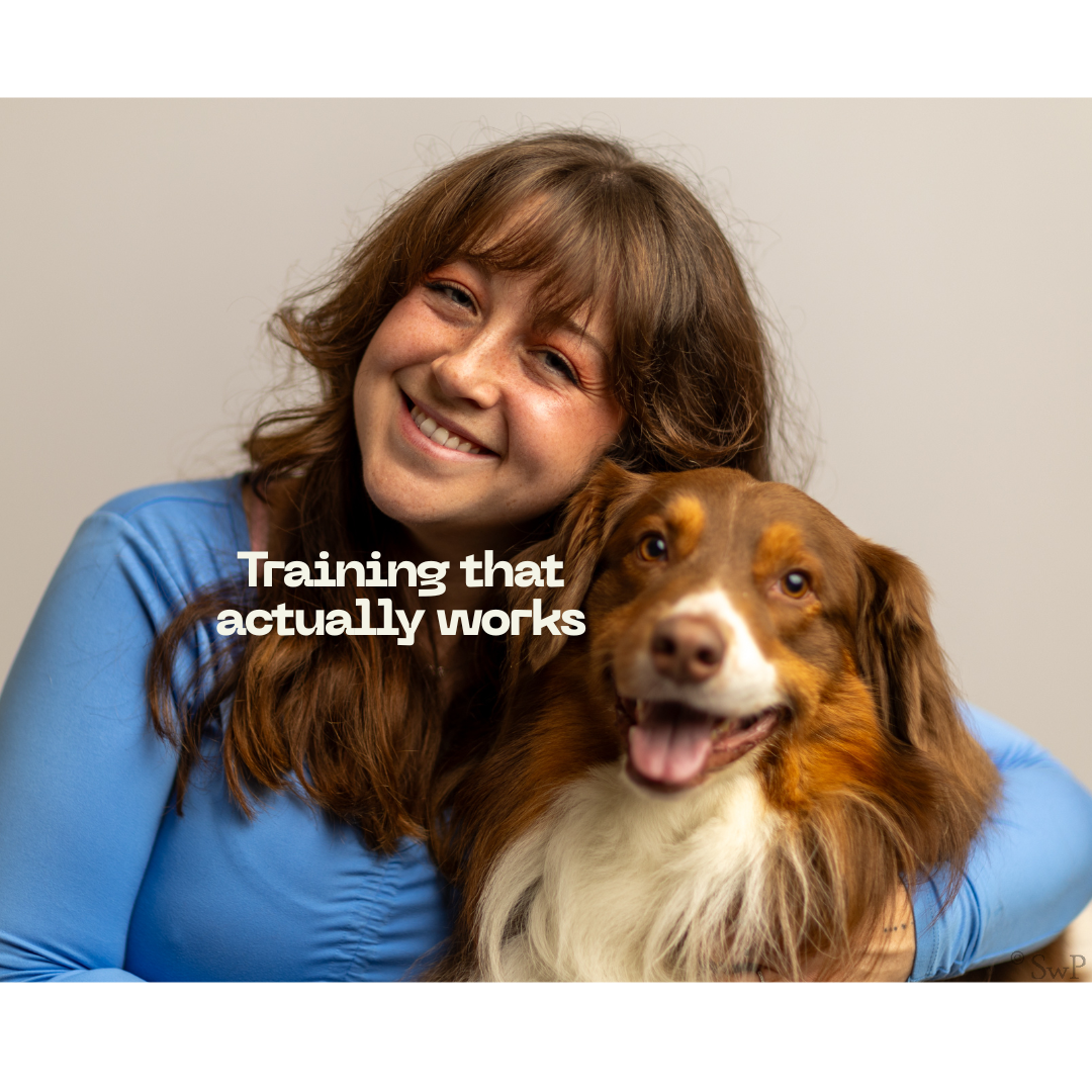 Smiling woman hugging a happy brown and white dog, with text 'Training that actually works.'