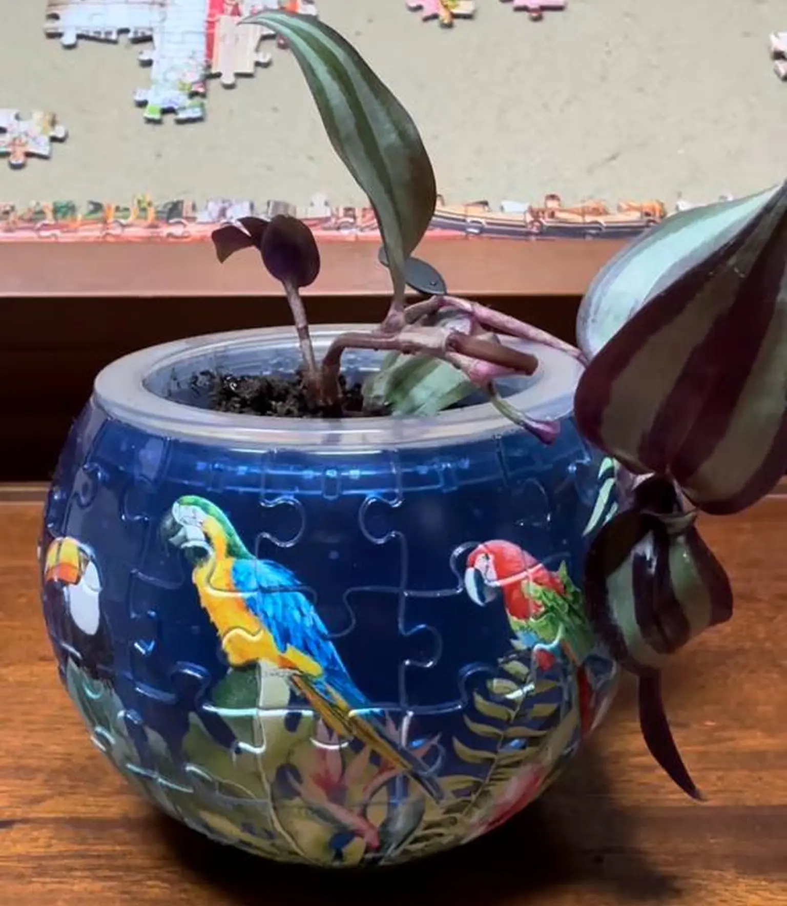 Plant in a spherical pot with parrot puzzle design on a wooden surface.