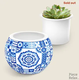 Two decorative pots, one with blue patterns, the other with a succulent, labeled 'Sold out.'
