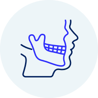 Outline of a human jaw and teeth in profile view.