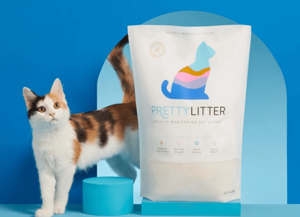 Calico kitten beside a bag of Pretty Litter on a blue background.