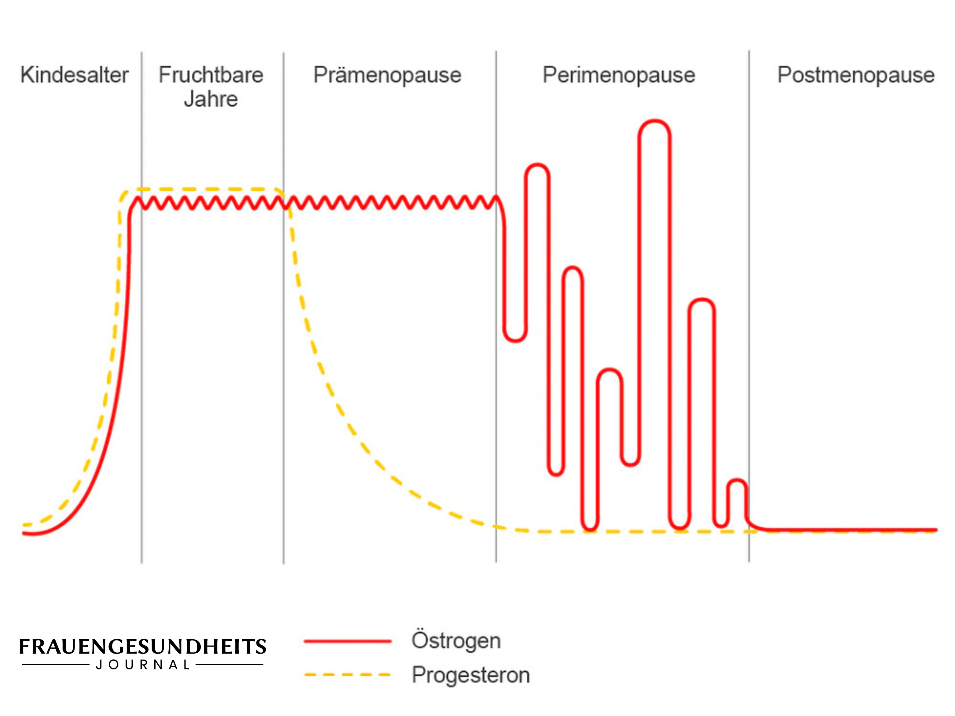 Graph showing hormone levels across different life stages.