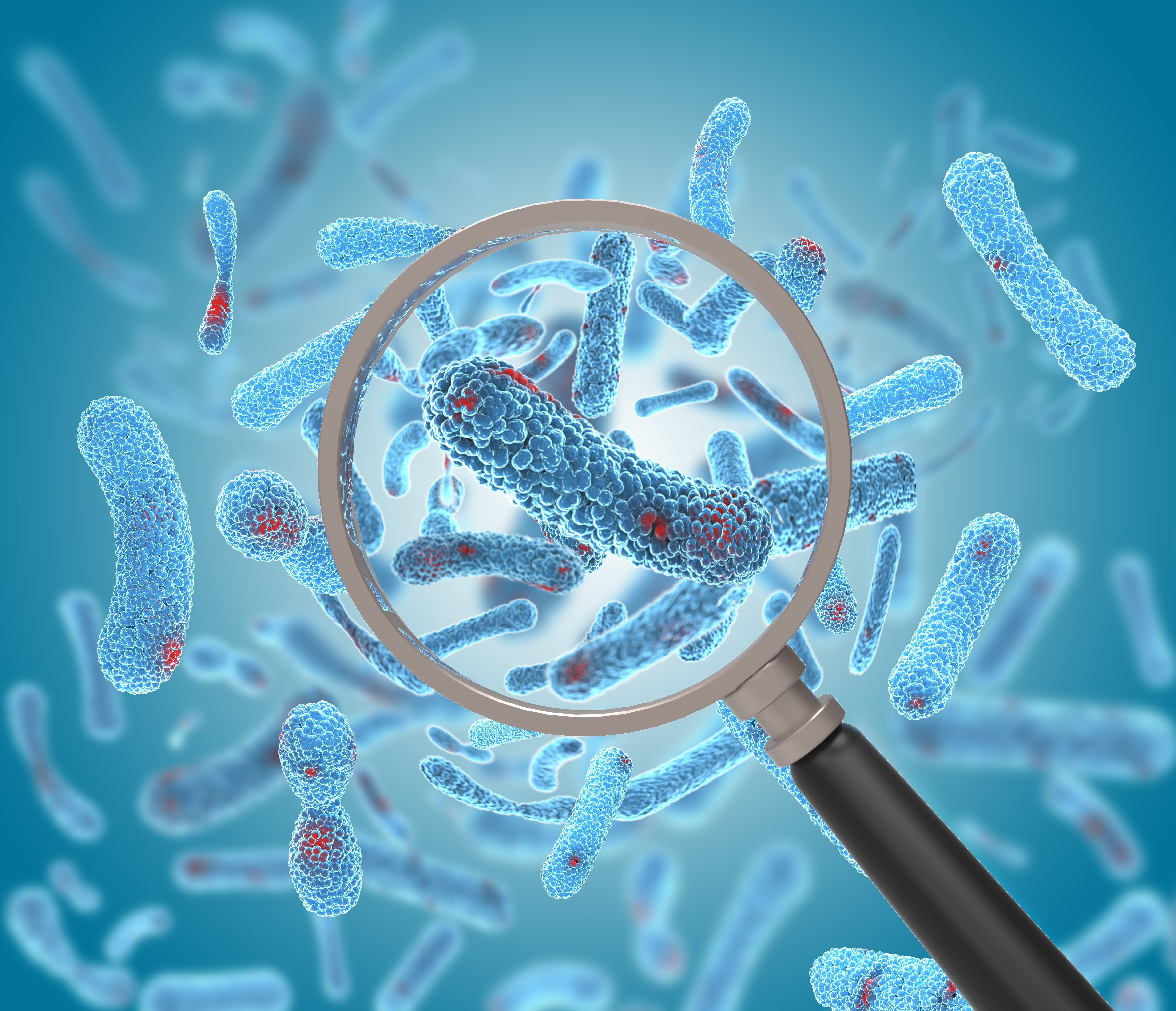 Magnified view of blue bacteria with red spots under a magnifying glass.
