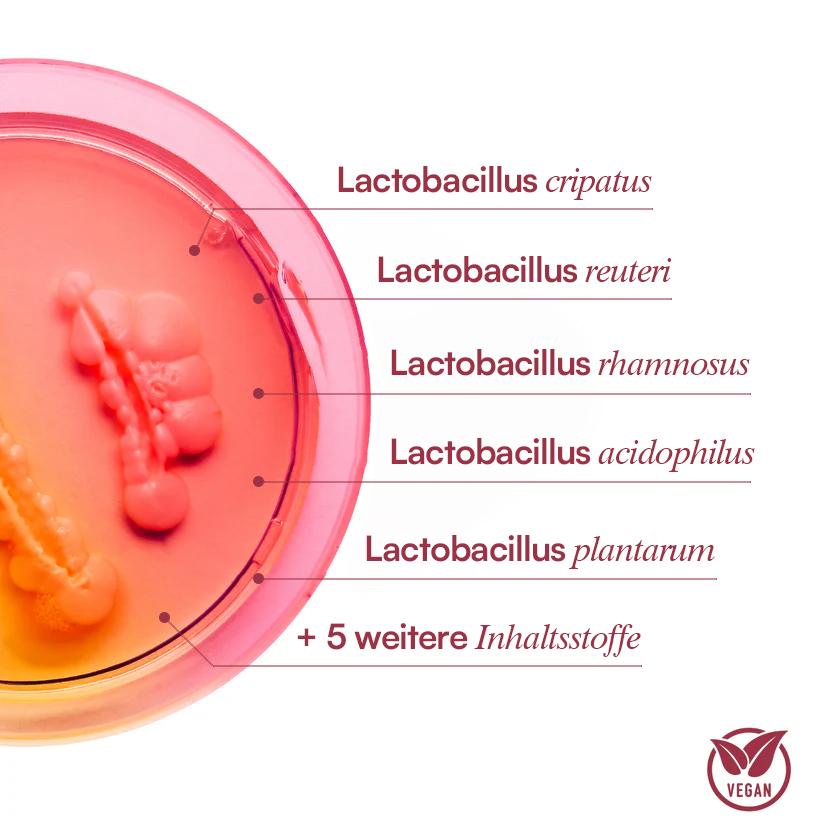Petri dish with labeled Lactobacillus strains; vegan symbol present.