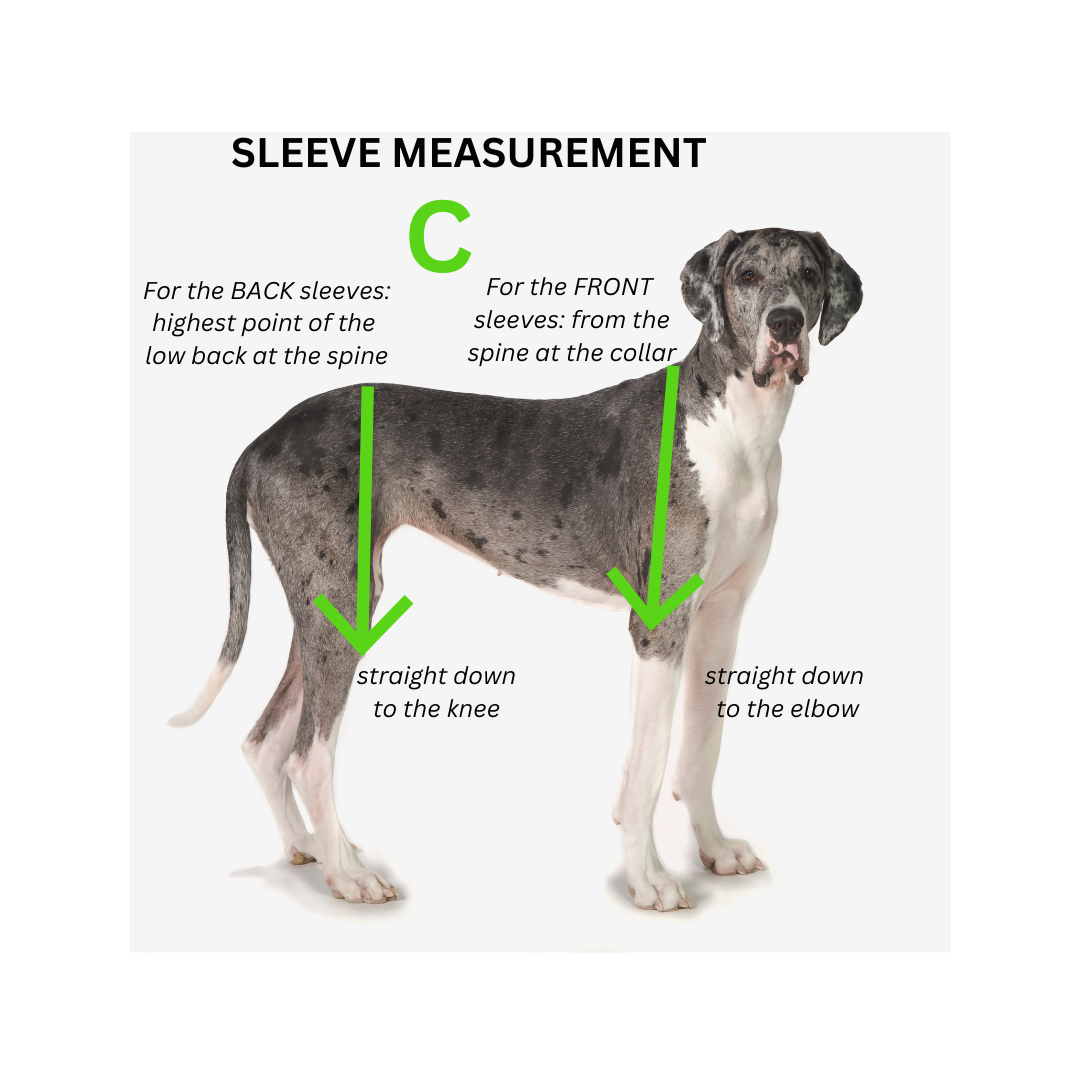 A diagram showing sleeve measurements on a Great Dane, with arrows pointing to the front and back legs.