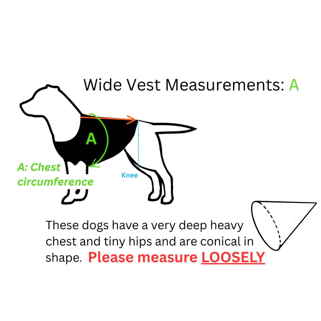 Sizing landmarks for LuckyandLoyal bracing System