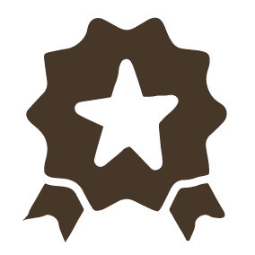 Silhouette of a star-shaped award ribbon with two tails.