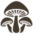 A brown icon of three mushrooms of different sizes against a white background.