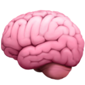 A pink, cartoon-style illustration of a human brain from a side view.