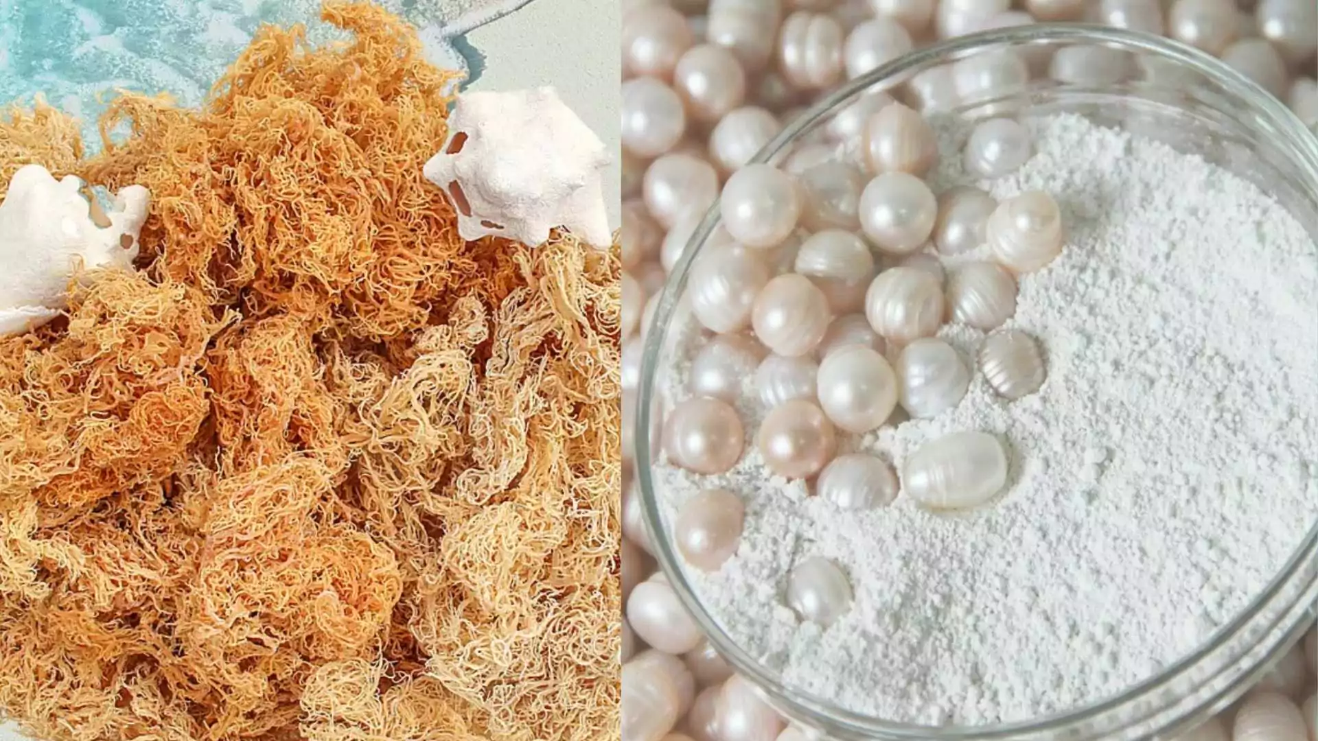 Dried seaweed and a bowl of pearls on white powder.