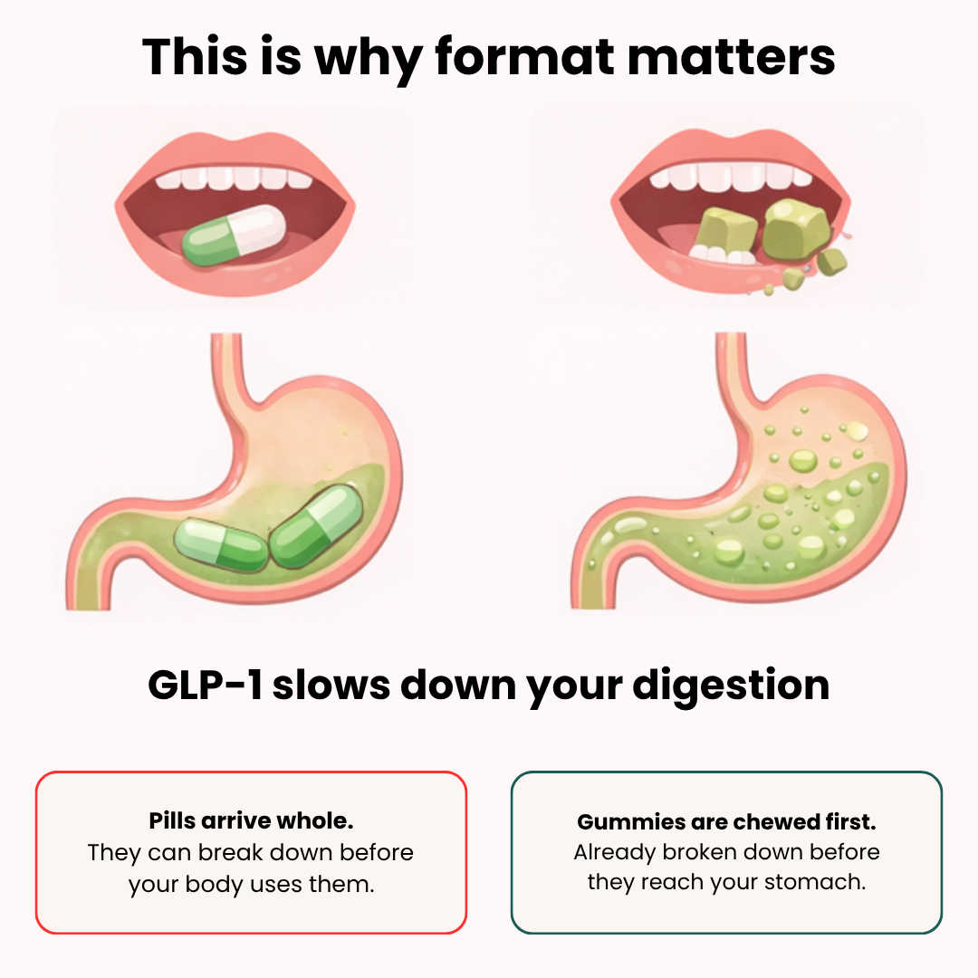 An infographic comparing how the stomach digests whole pills versus chewed gummies.