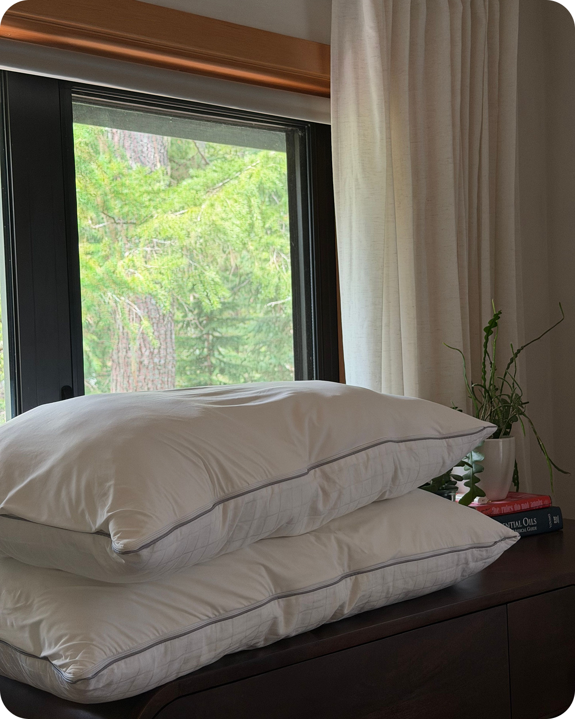 Two white pillows with grey piping stacked on a dark wood dresser in front of a window.
