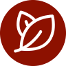 White leaf icon on a red circular background.