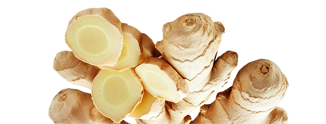 Fresh ginger root with sliced sections on a white background.