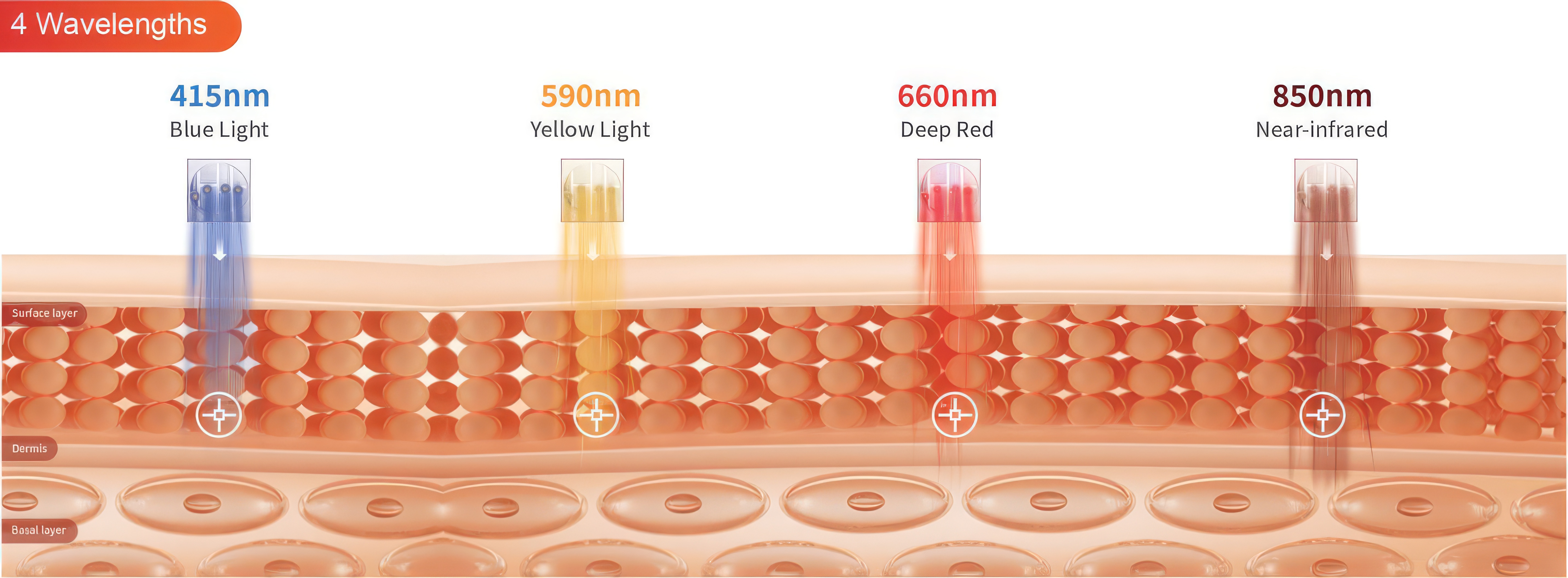 A diagram showing how four different light wavelengths penetrate the skin's layers to varying depths.