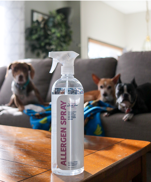 Allergen spray bottle on table with three dogs on a couch in the background.