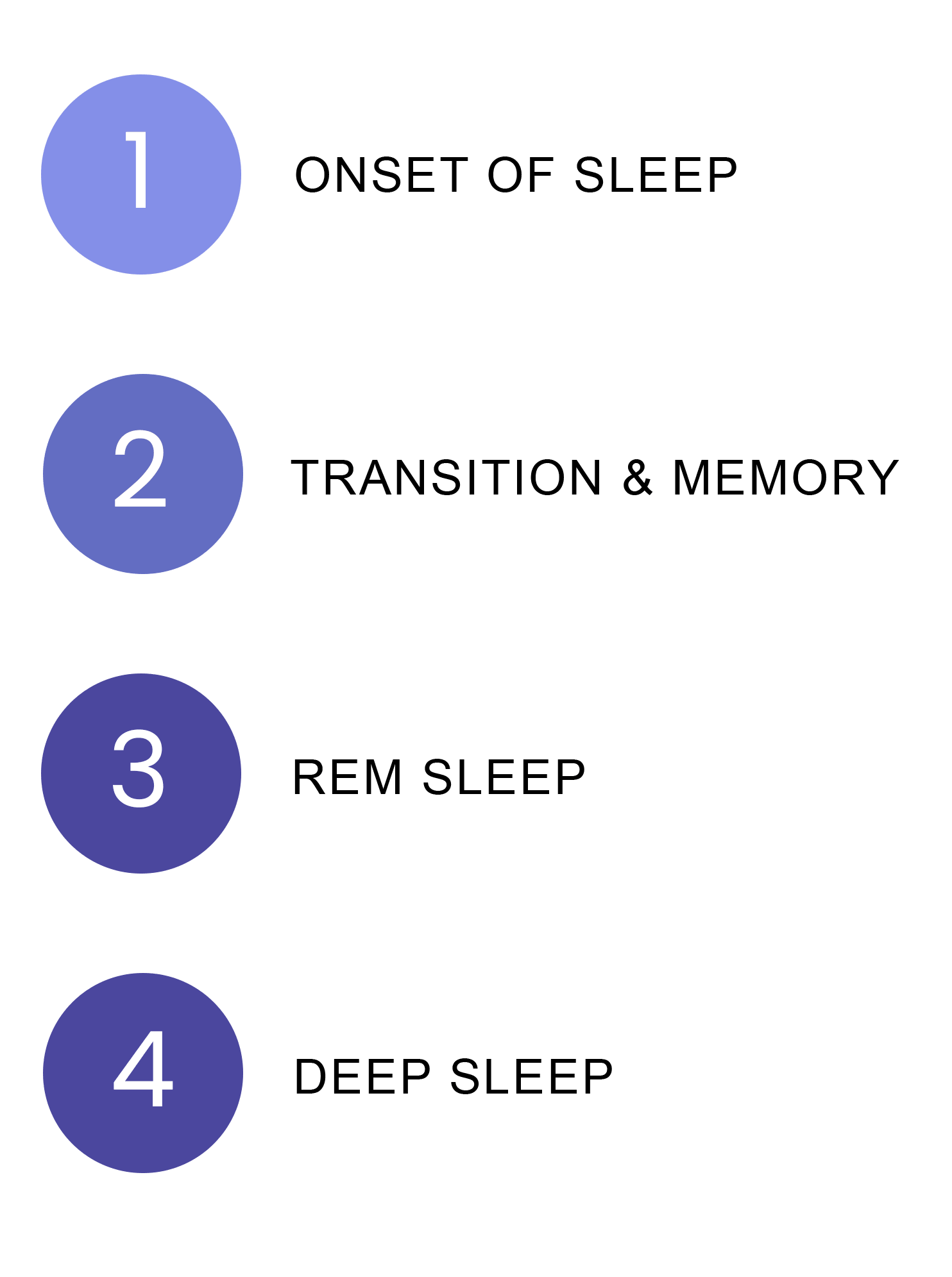 A numbered list from one to four describing the stages of sleep: onset, transition, REM, and deep sleep.