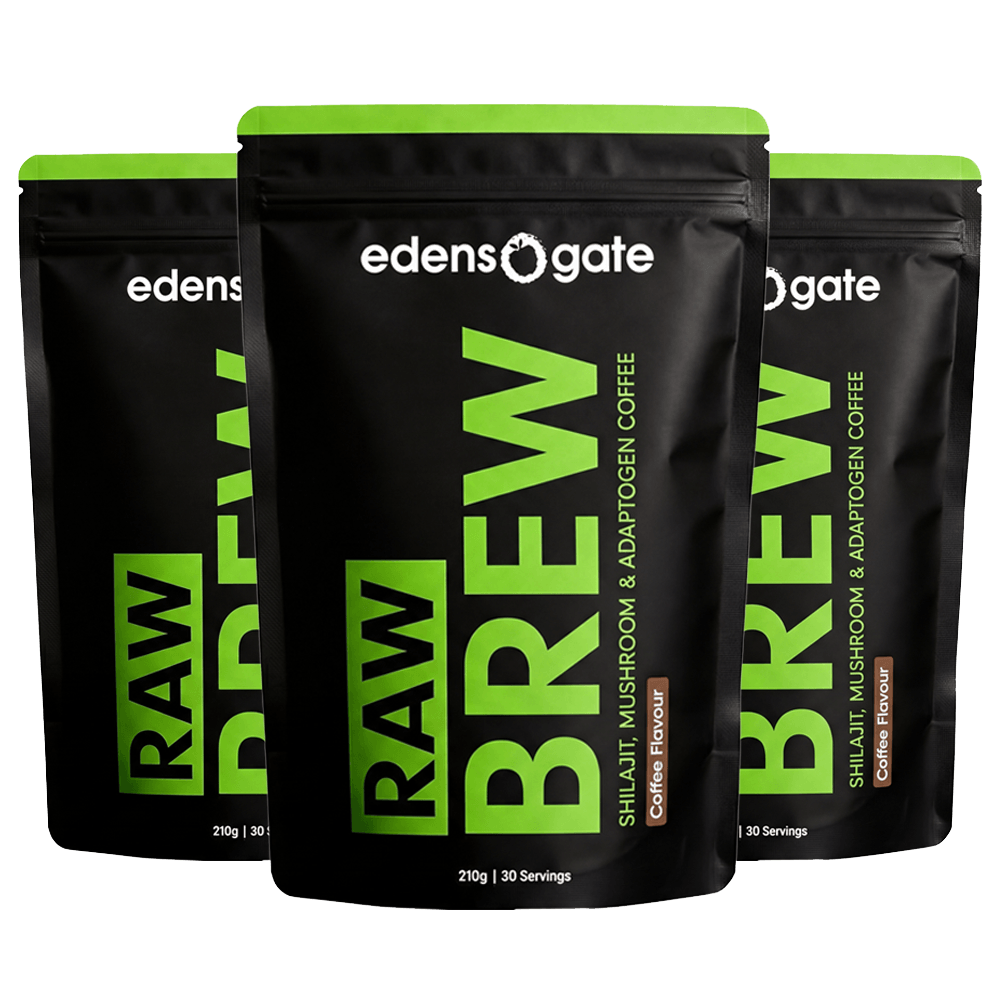 Three black pouches of Edens Gate Raw Brew, a Shilajit, Mushroom & Adaptogen coffee.