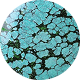 Turquoise stone texture with black veining in a circular shape.