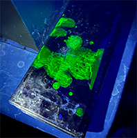 A metal-like surface under a blacklight glows with bright green fluorescent liquid.