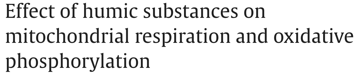 Text: 'Effect of humic substances on mitochondrial respiration and oxidative phosphorylation'.