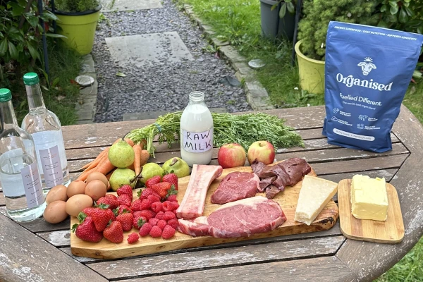 Beef organs and fertility - beef organs on a table with raw milk