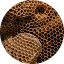 Close-up of a honeycomb structure with hexagonal cells.