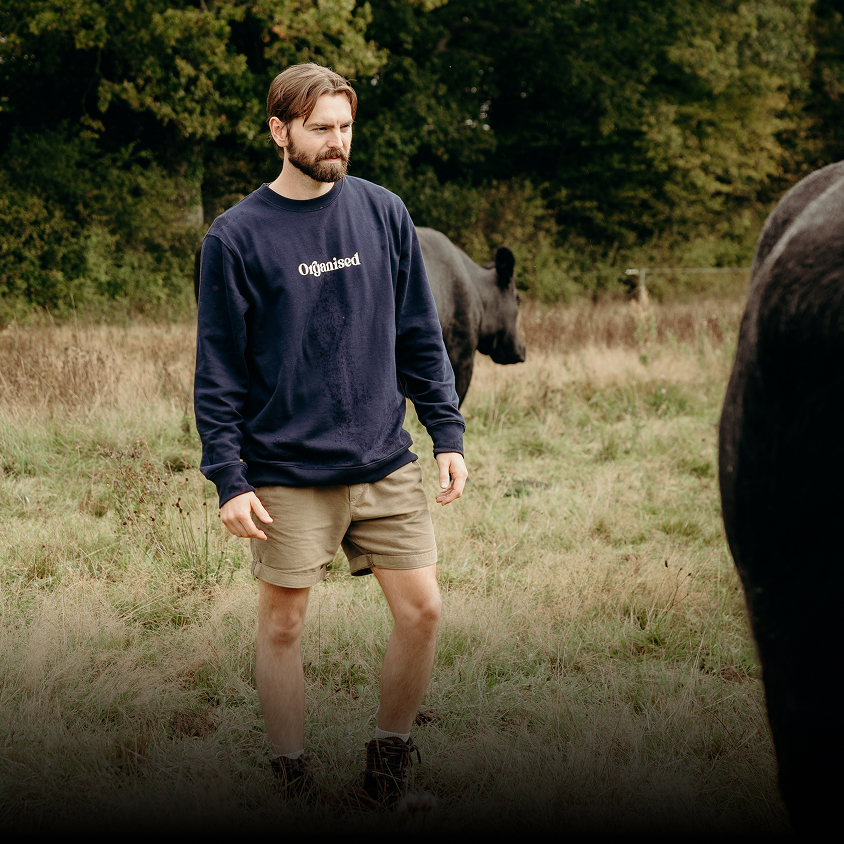 Person in a field with cows, wearing a black sweatshirt and shorts.