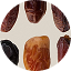 Various types of dates arranged in a circular pattern.
