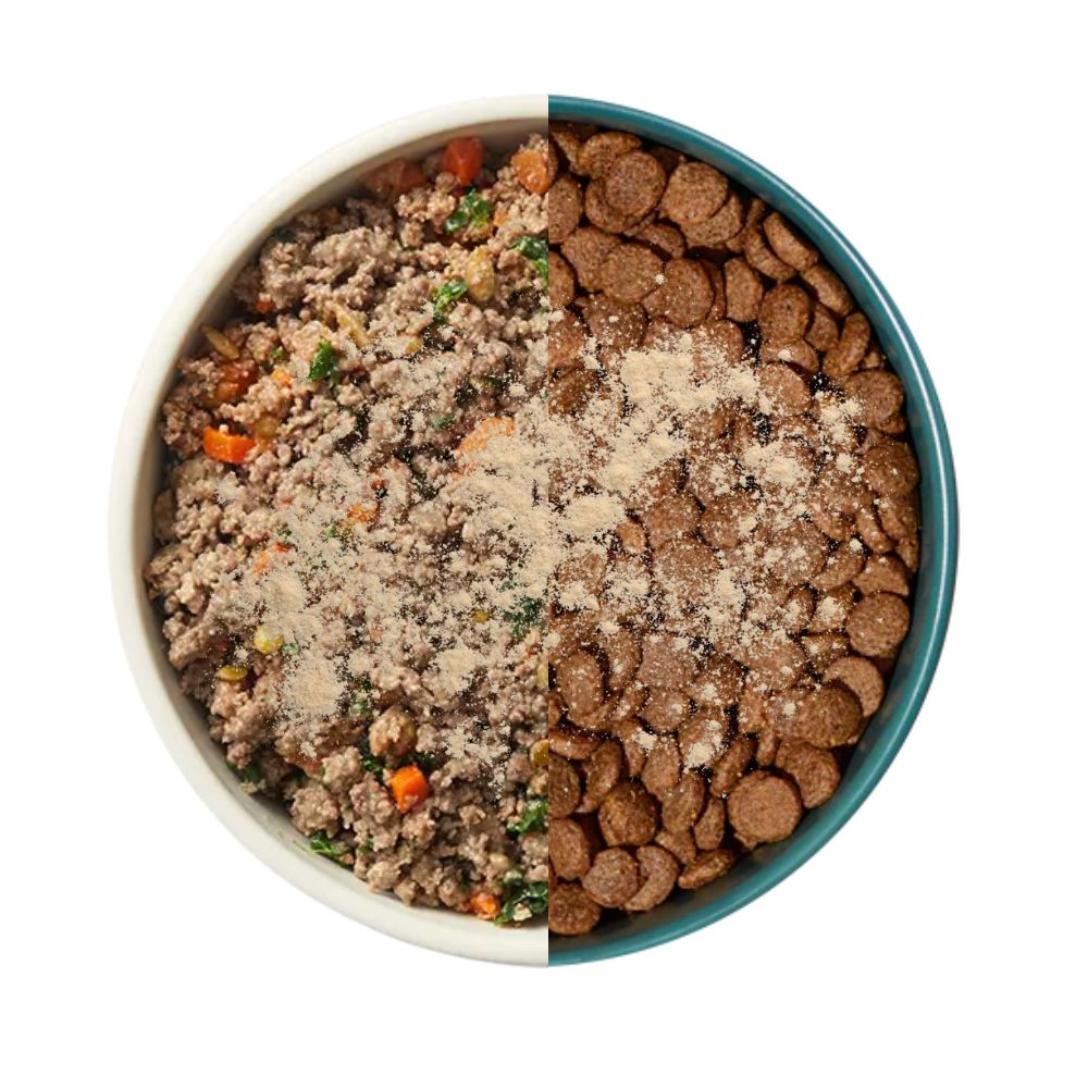 Half bowl of ground food mixture, half bowl of kibble with powder on top.