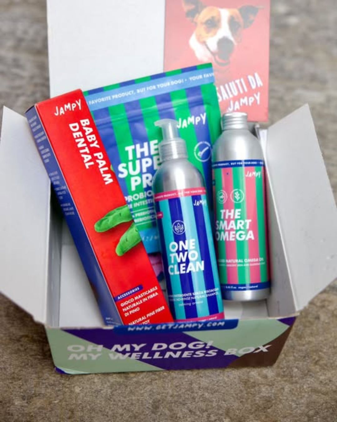 An open 'Oh My Dog! My Wellness Box' filled with various Jampy brand dog care products and supplements.