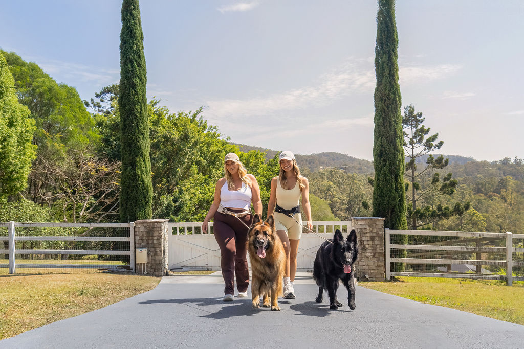 Two people walking two dogs on a path between tall trees and a gate.