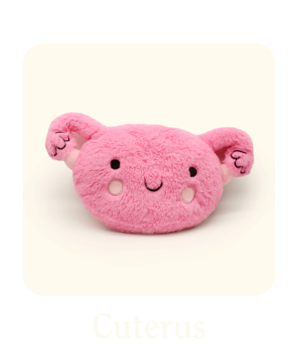 A cute pink plush toy shaped like a smiling uterus with tiny arms.